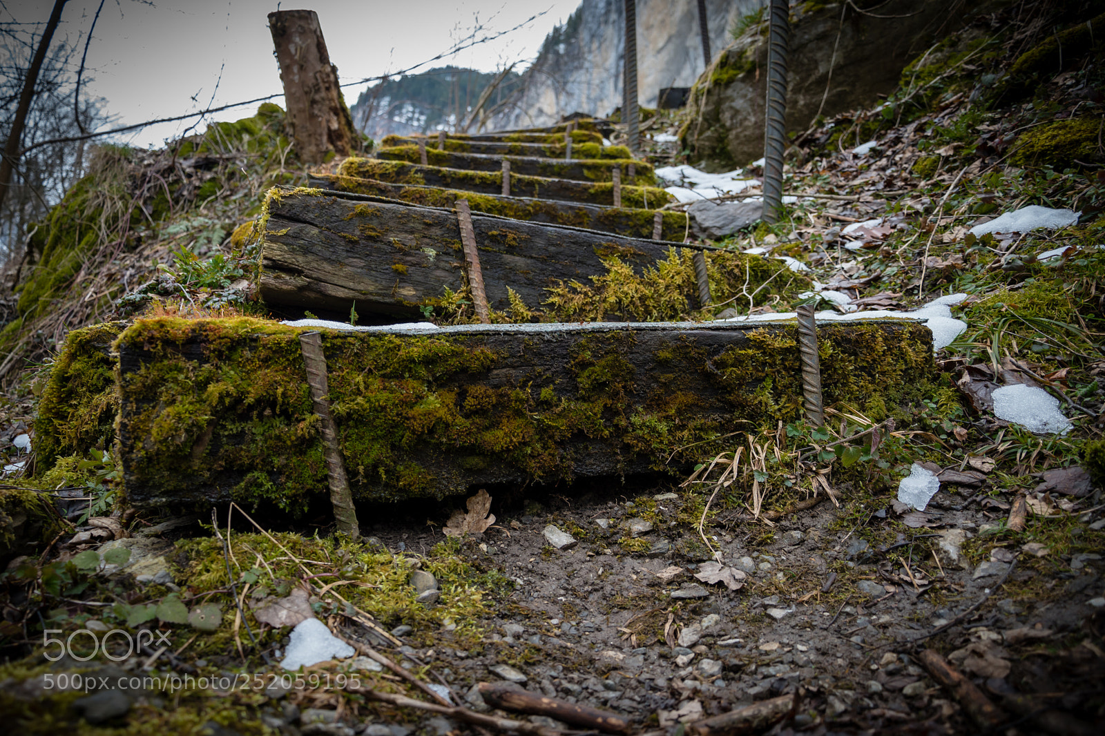 Nikon D5600 sample photo. Crooked stairs photography