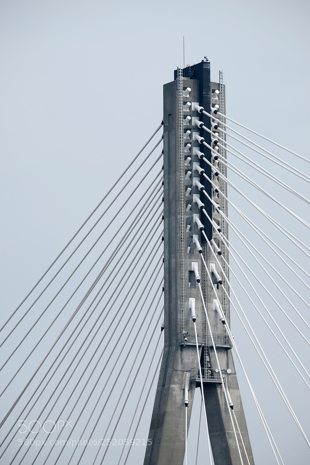 Fujifilm X-T10 sample photo. Holding on photography