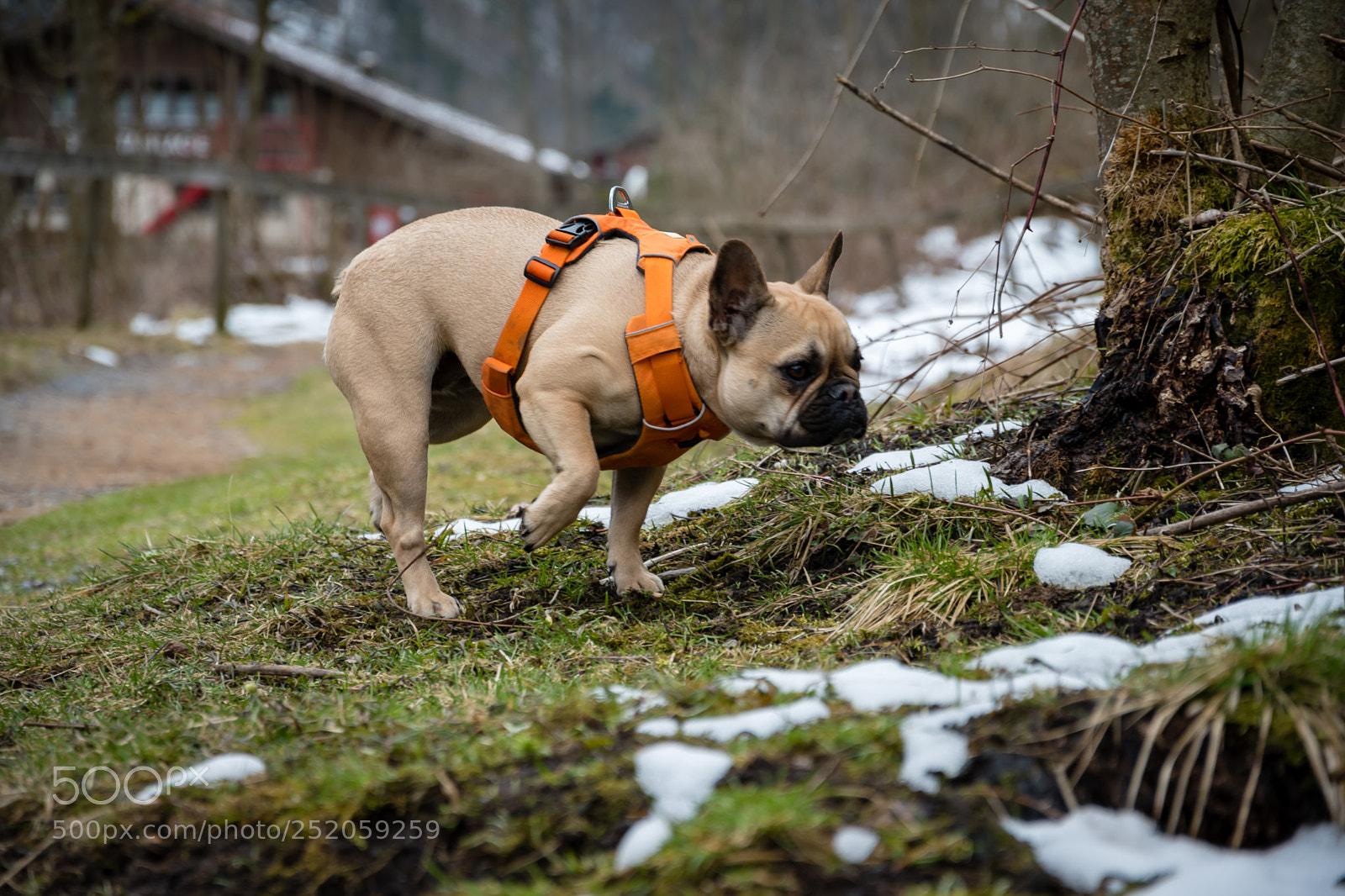 Nikon D5600 sample photo. Kessy is exploring photography