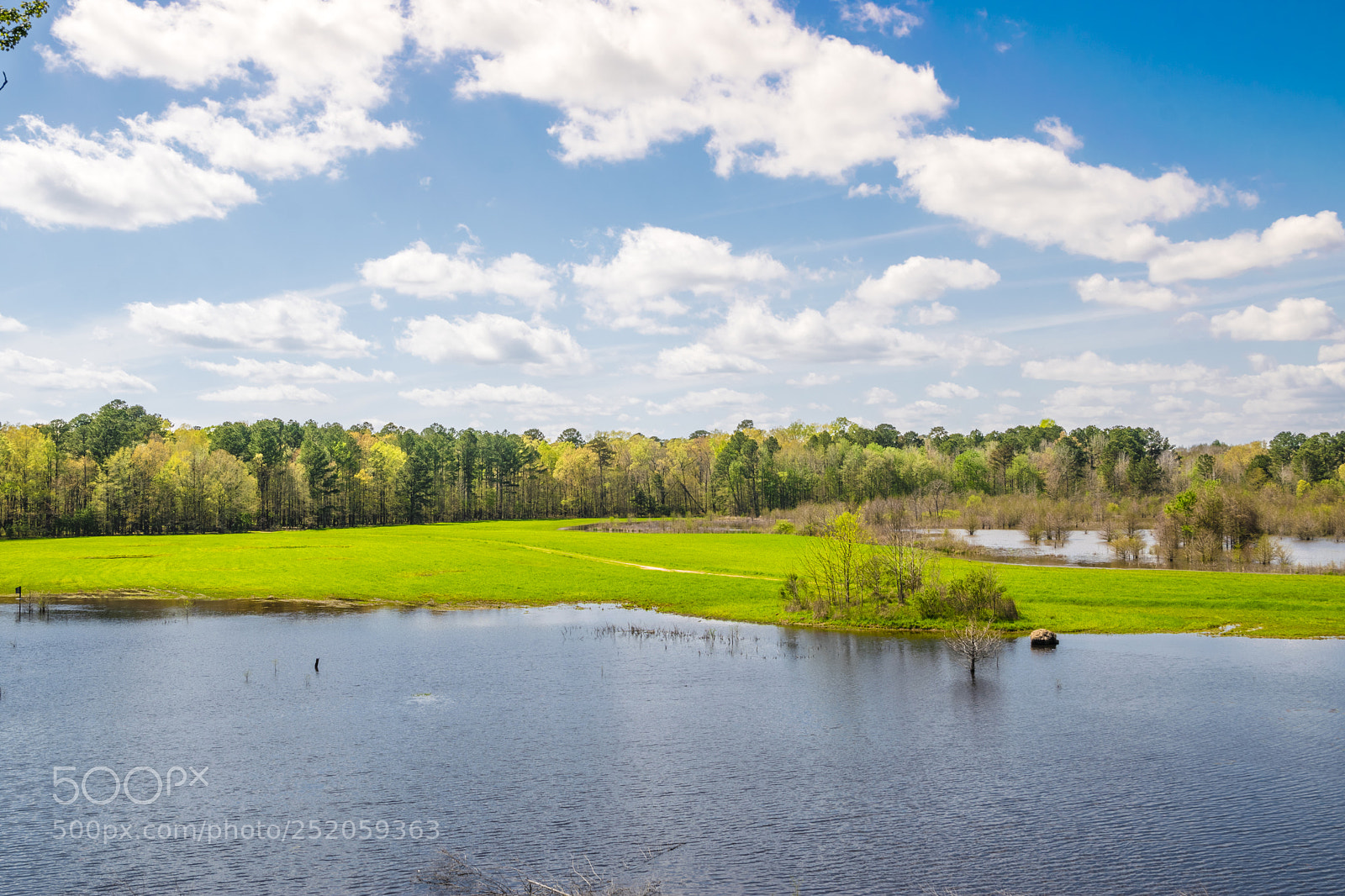 Nikon D5300 sample photo. Spring at noxubee photography