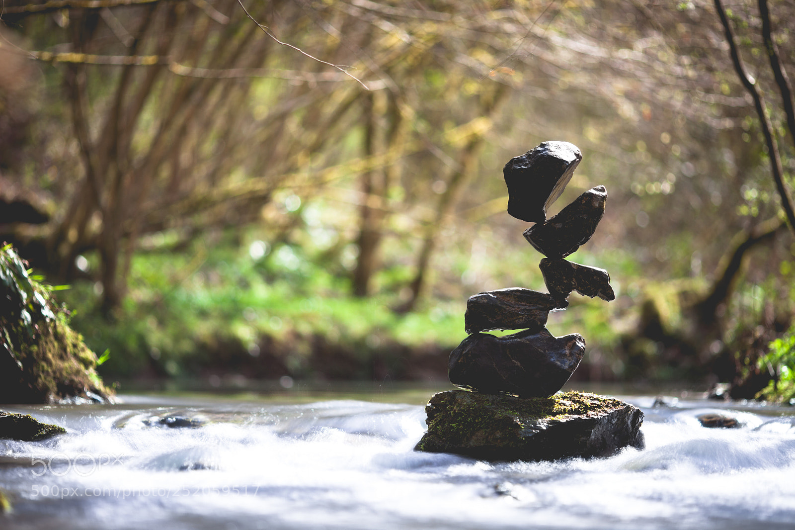 Canon EOS 5D Mark II sample photo. Printemps photography