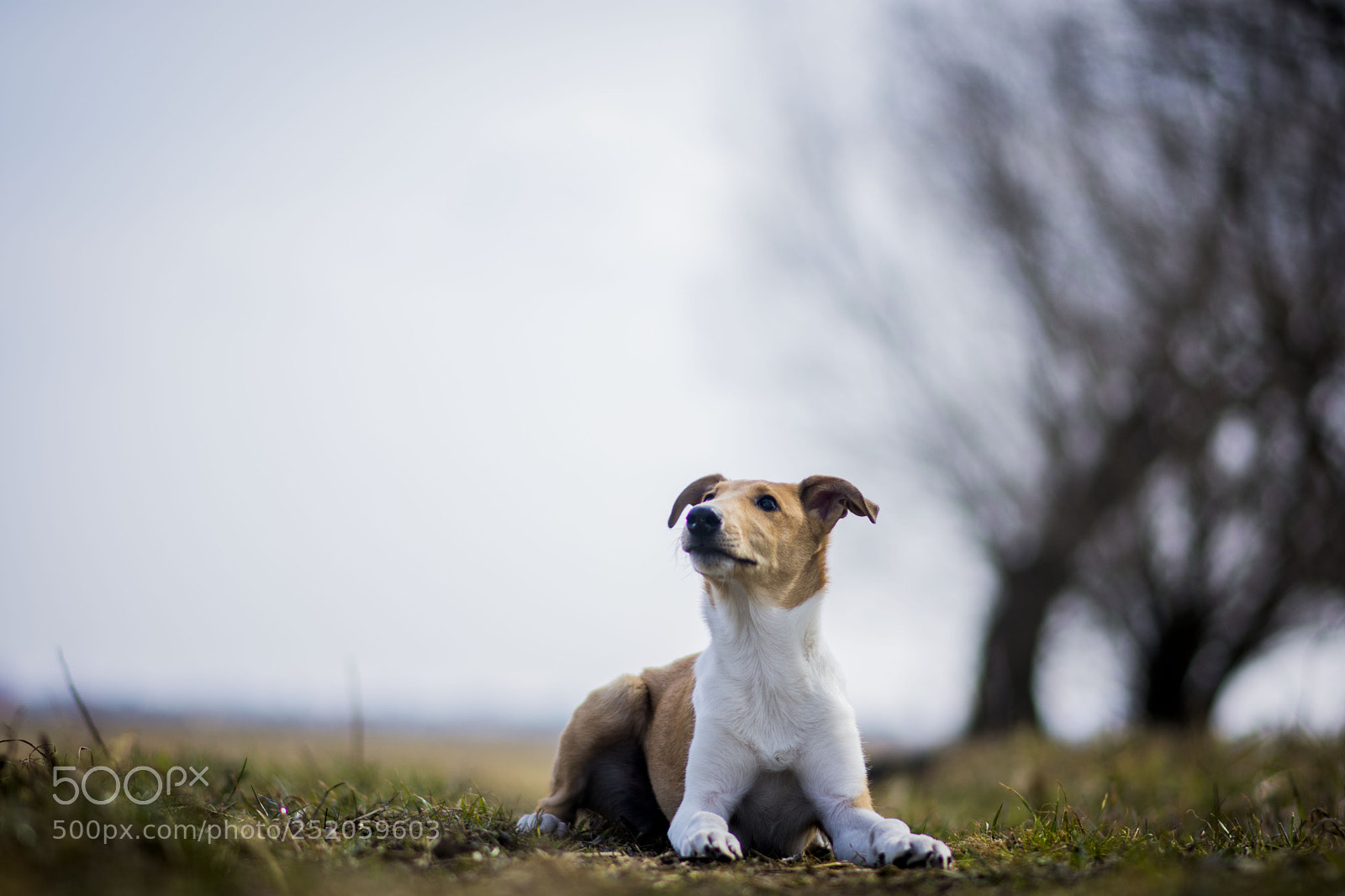 Nikon D7200 sample photo. Untitled photography