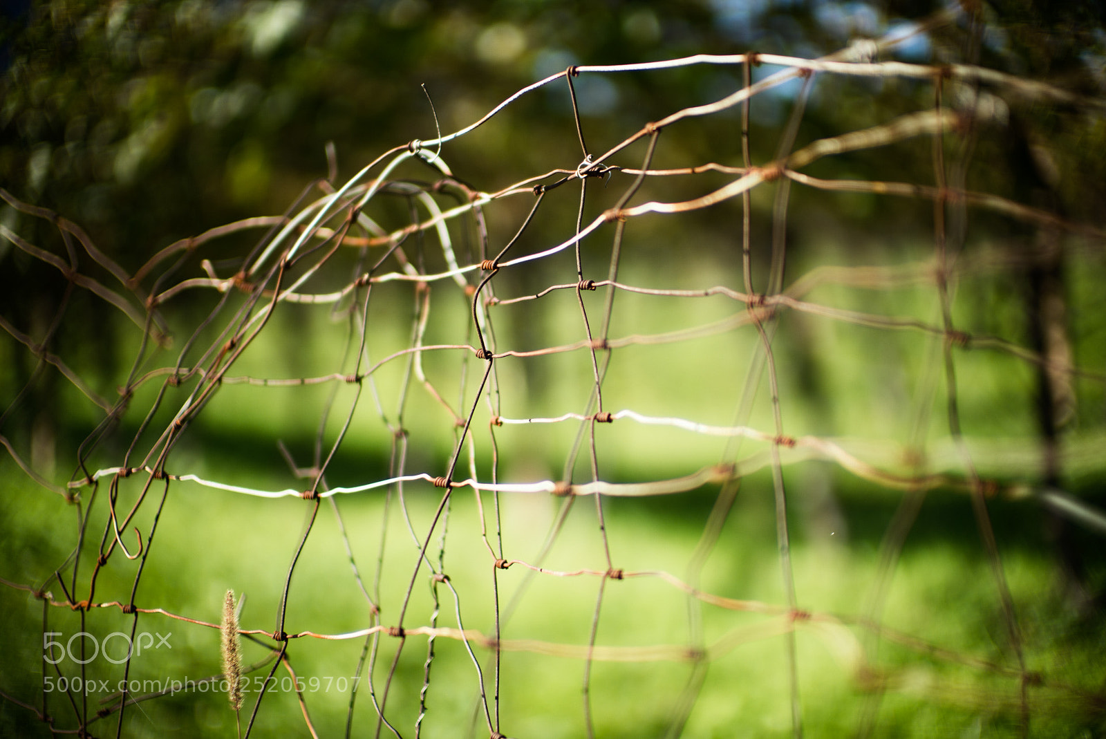 Leica M (Typ 240) sample photo. Edit photography