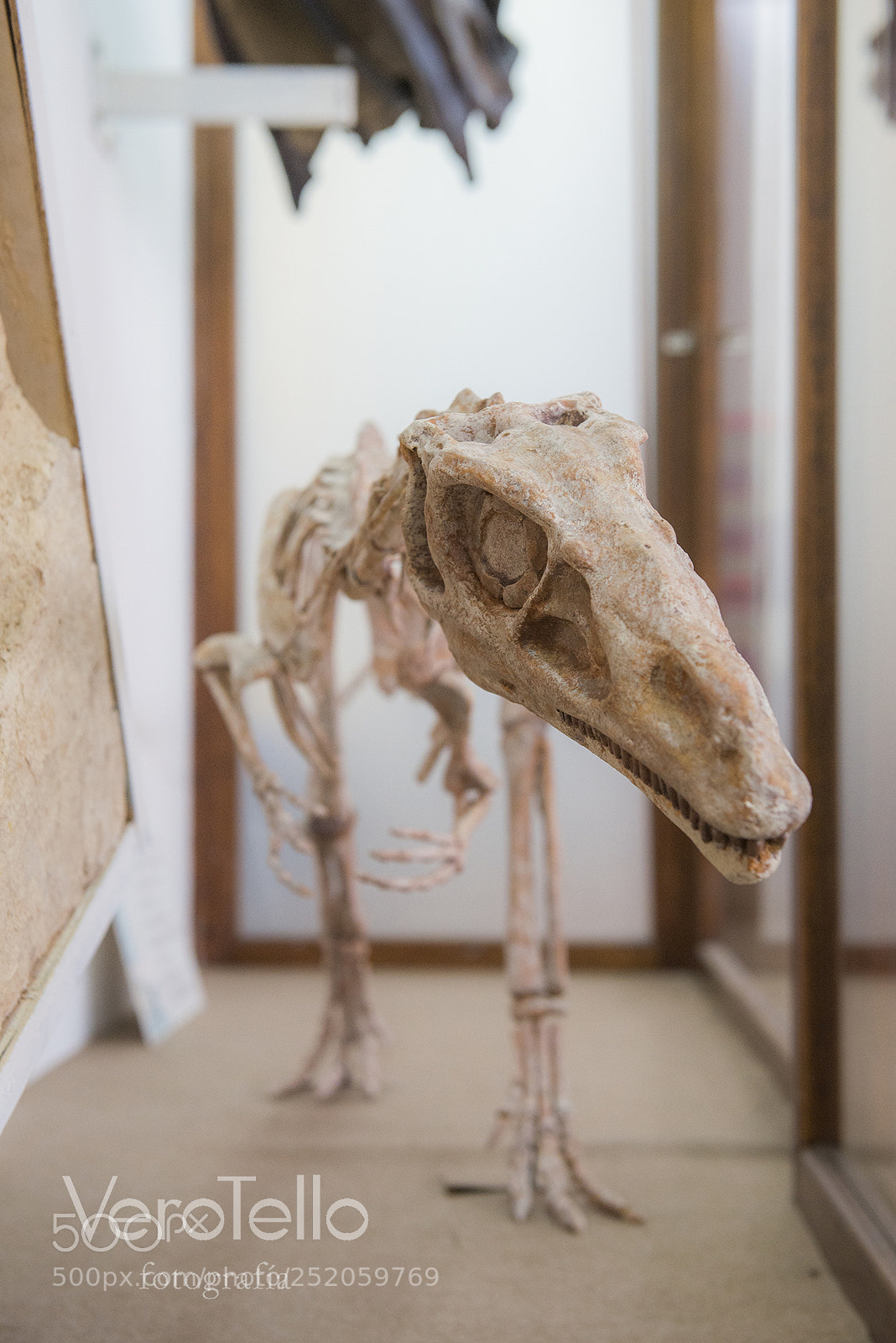 Nikon D610 sample photo. 006.jpg photography