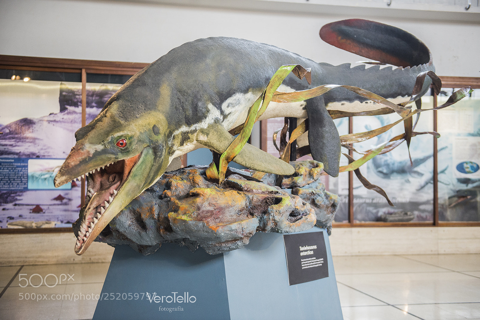 Nikon D610 sample photo. 029.jpg photography