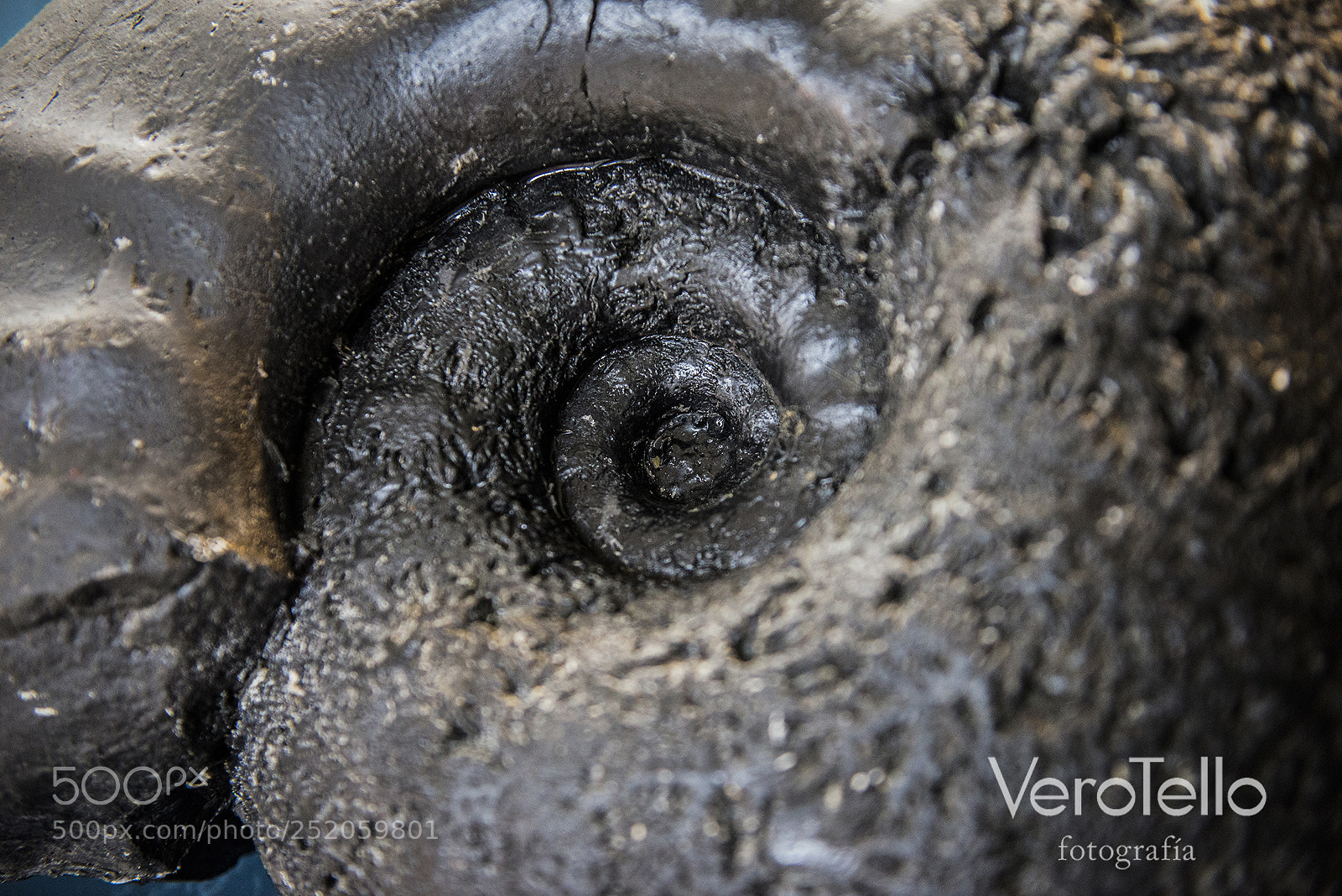 Nikon D610 sample photo. 027.jpg photography