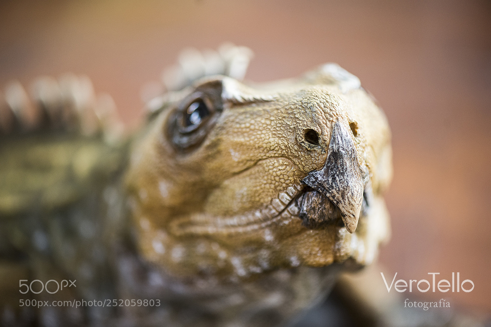 Nikon D610 sample photo. 035.jpg photography