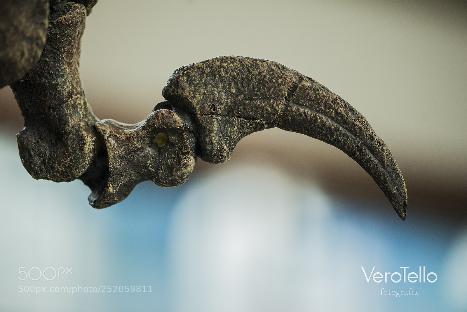 Nikon D610 sample photo. 0039.jpg photography