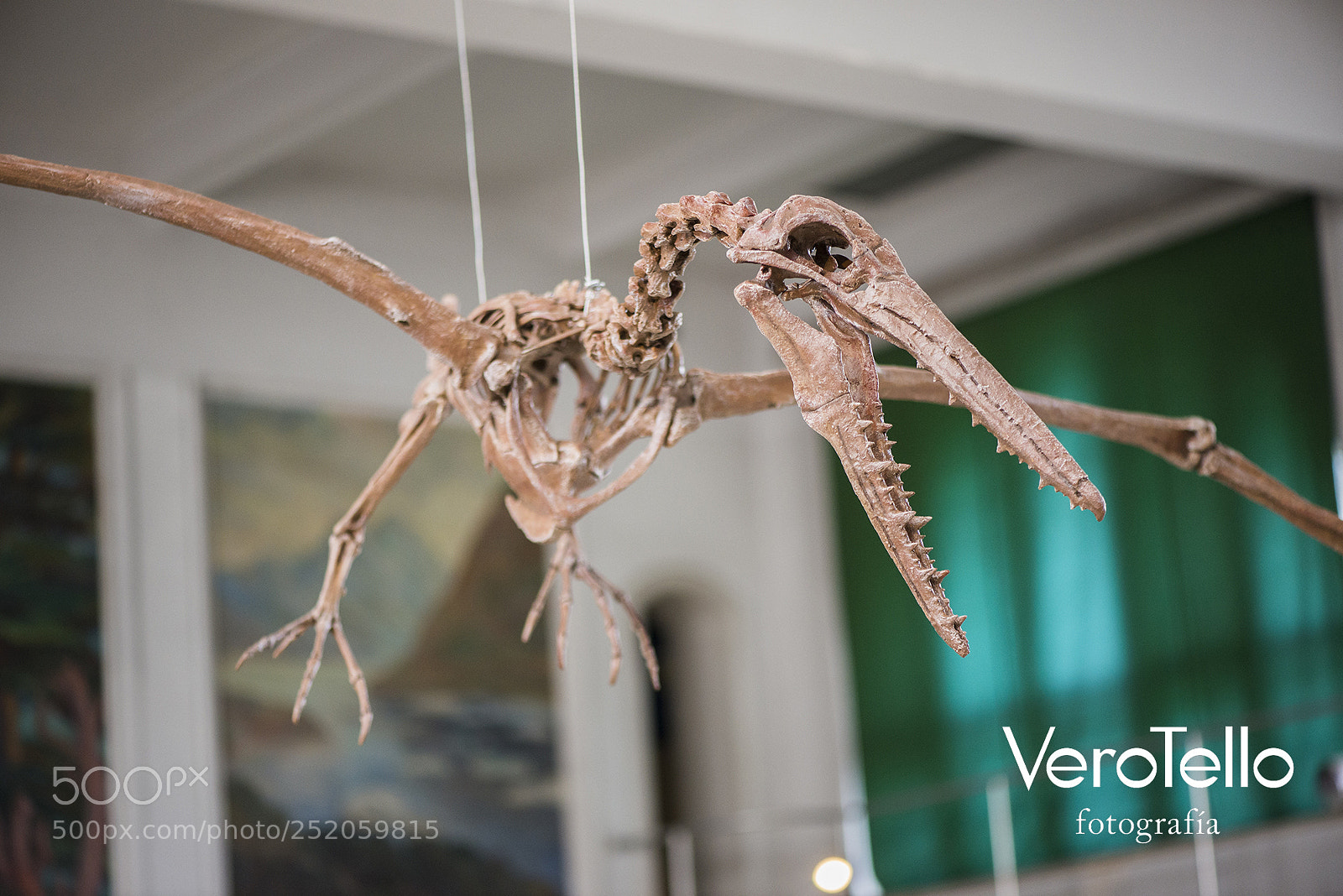 Nikon D610 sample photo. 041.jpg photography