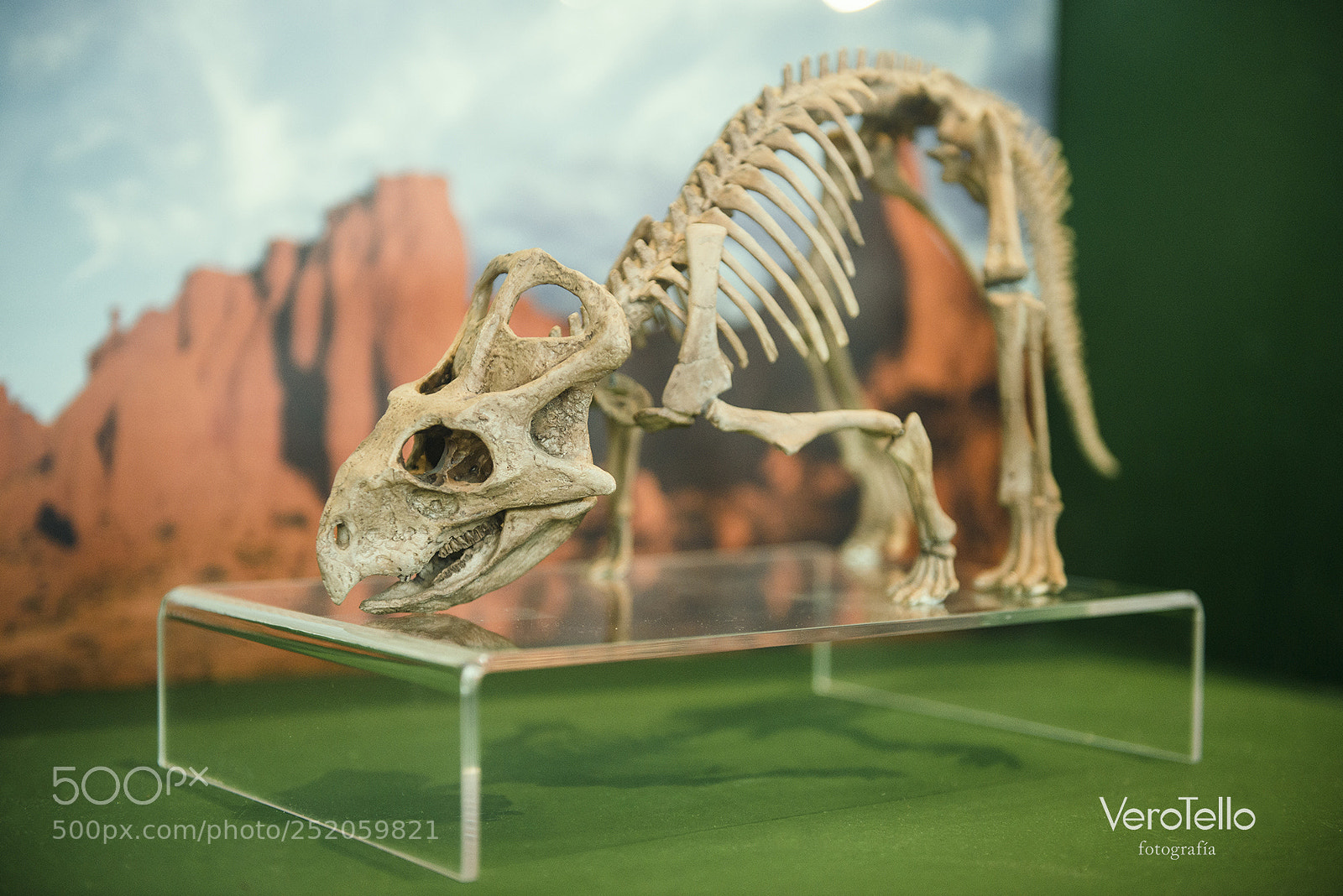 Nikon D610 sample photo. 049.jpg photography