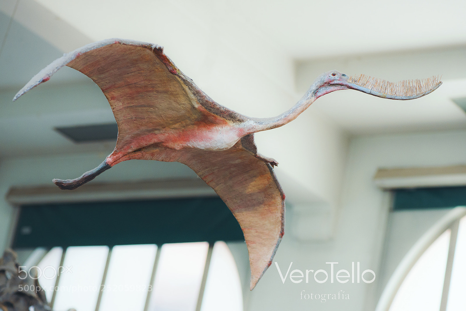 Nikon D610 sample photo. 067.jpg photography