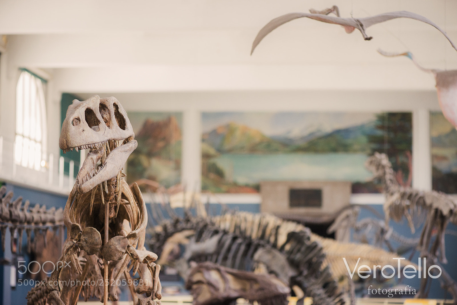 Nikon D610 sample photo. 077.jpg photography