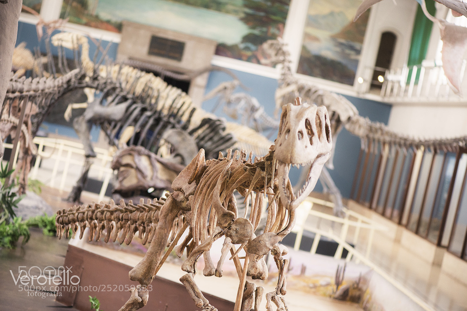 Nikon D610 sample photo. 078.jpg photography