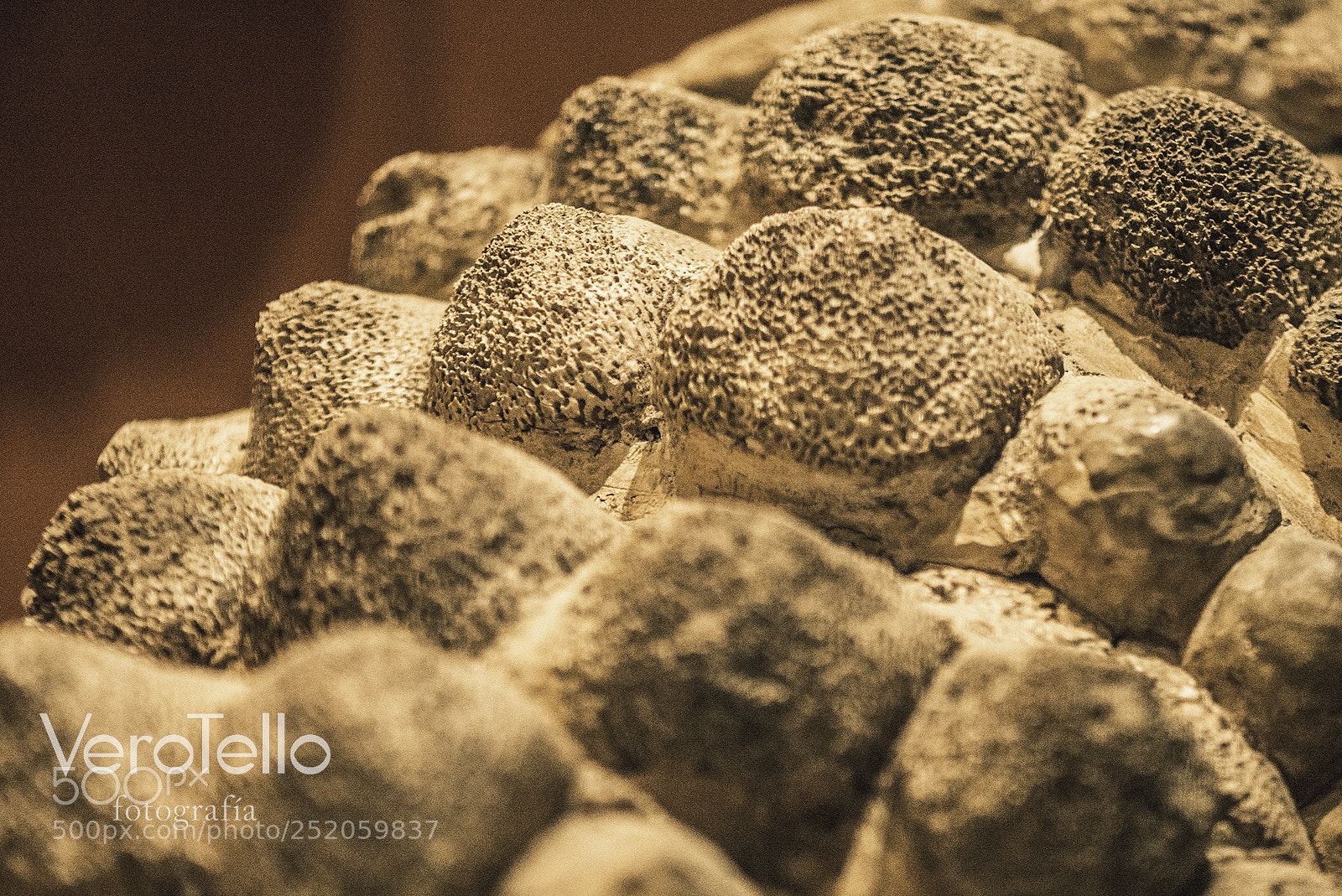 Nikon D610 sample photo. 102.jpg photography