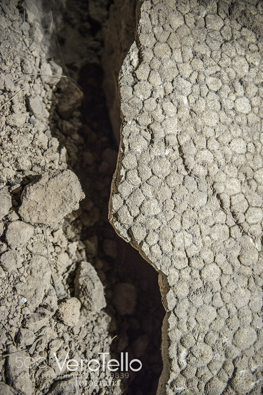 Nikon D610 sample photo. 084.jpg photography