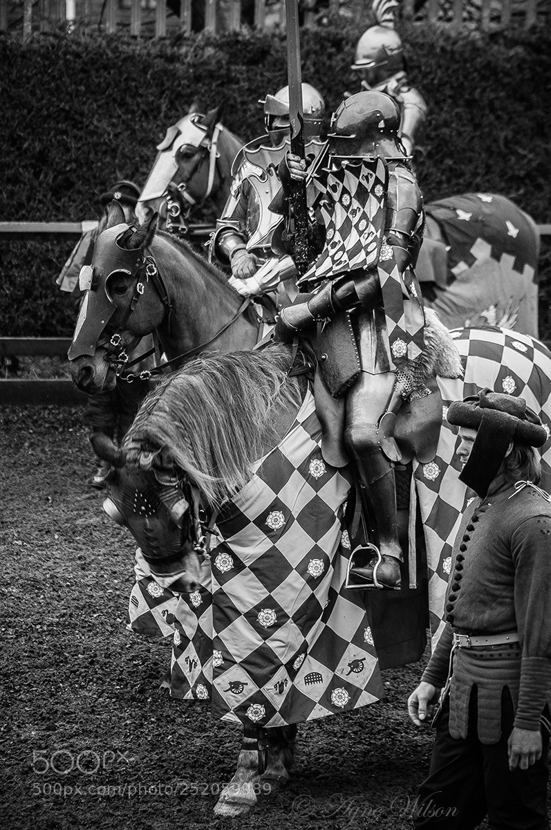 Nikon D300 sample photo. Black and white knight photography