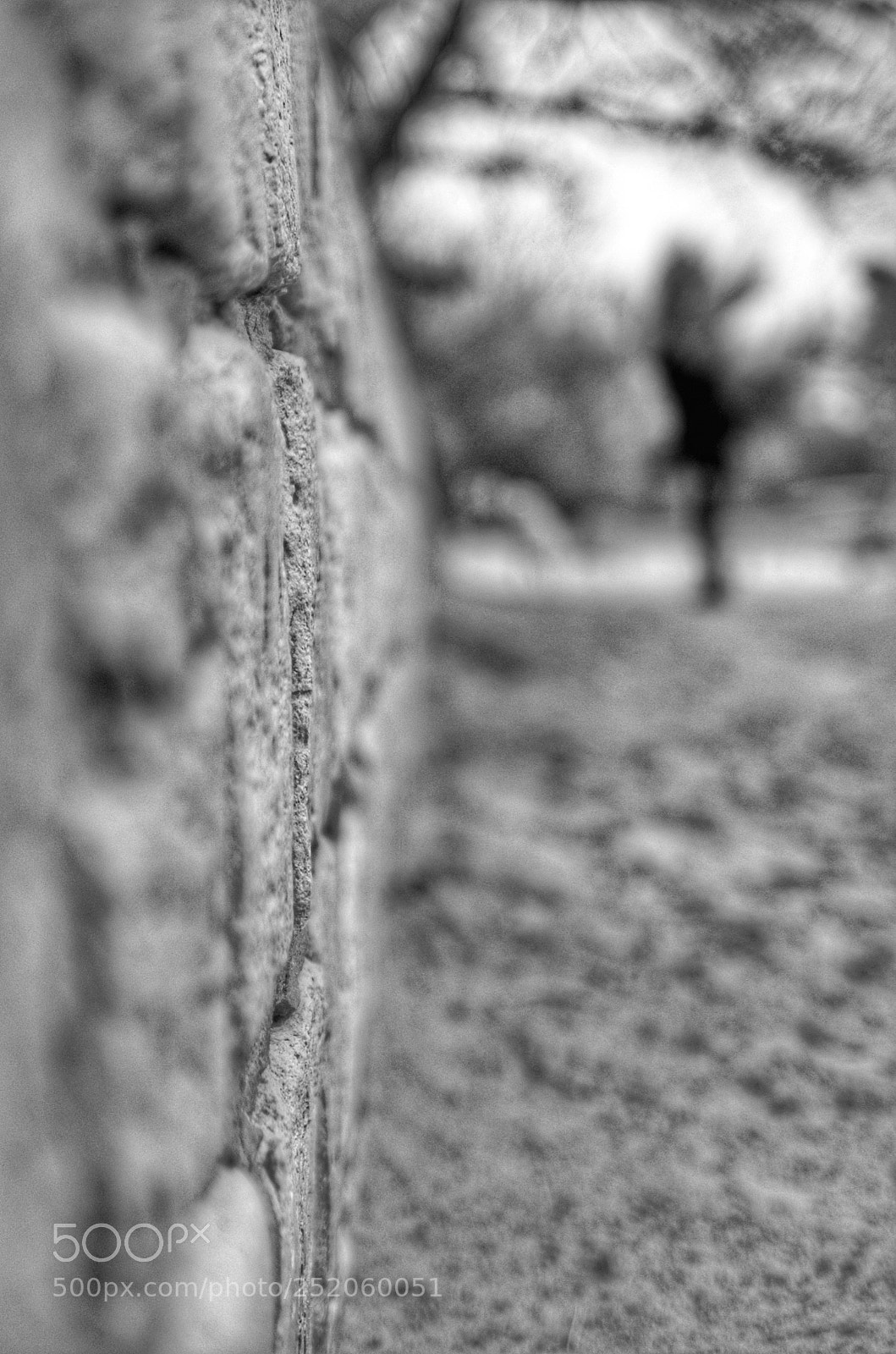 Pentax K-50 sample photo. Untitled photography