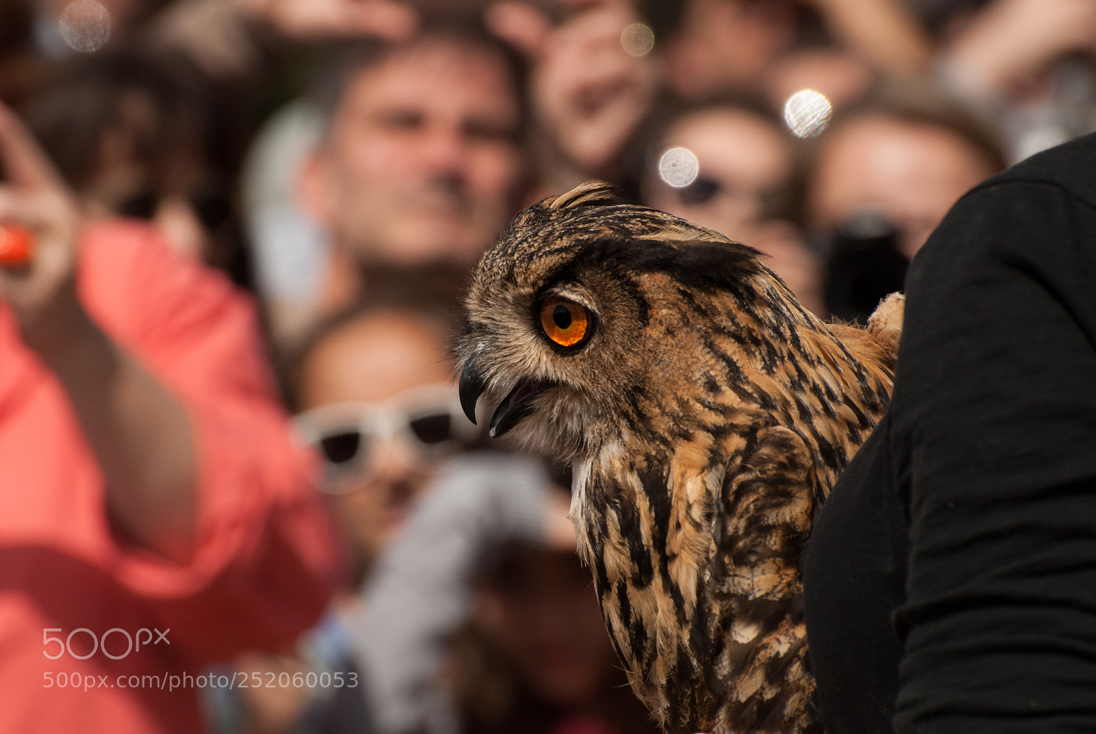 Nikon D200 sample photo. Bird freeing ceremony photography