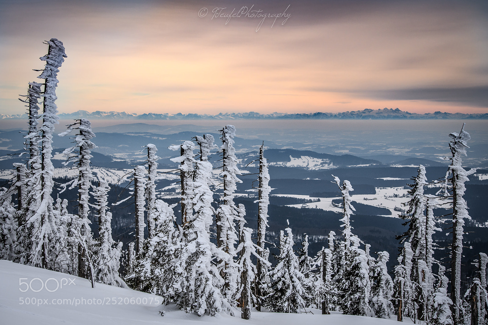 Nikon D7500 sample photo. "view to the alps" photography