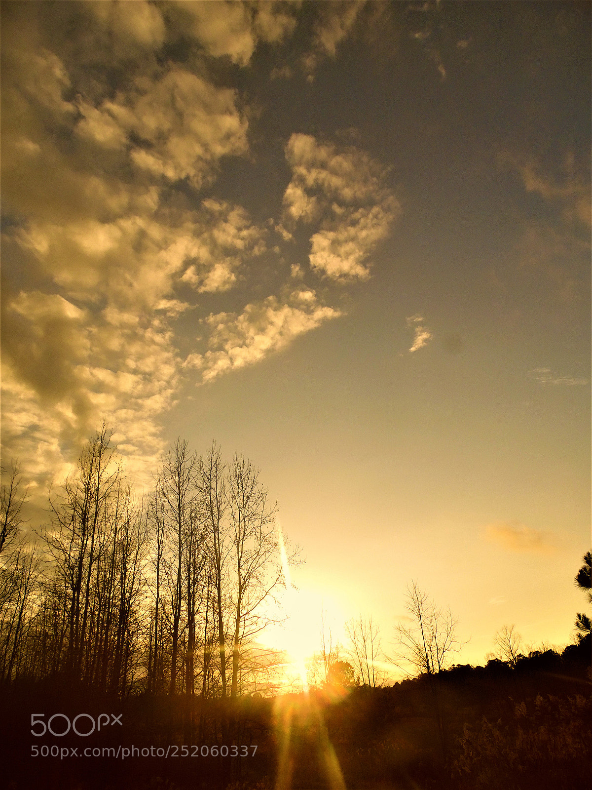 Samsung WB1100F/WB1101F/WB1102F sample photo. Sunset photography