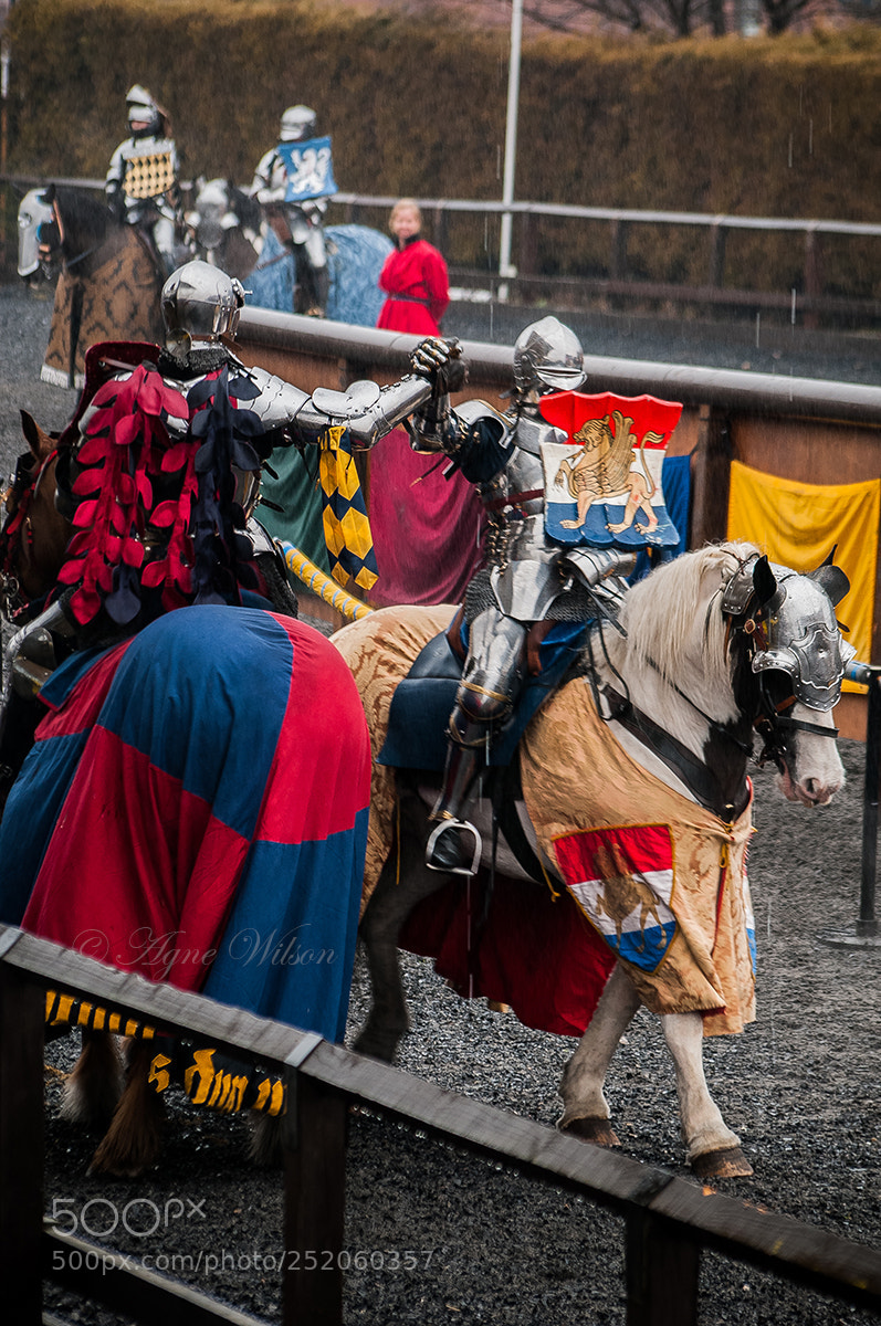 Nikon D300 sample photo. Chivalry photography