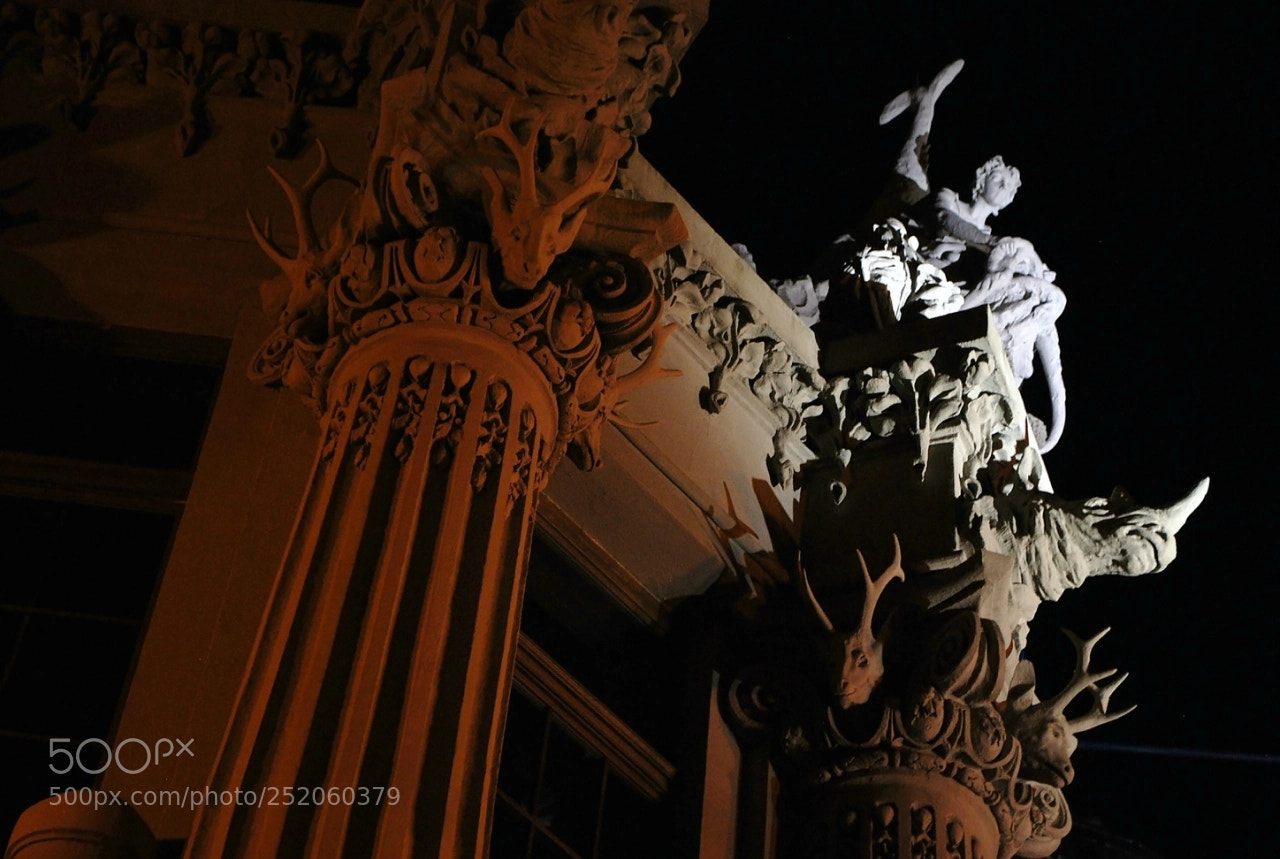 Nikon D60 sample photo. Baeforig photography