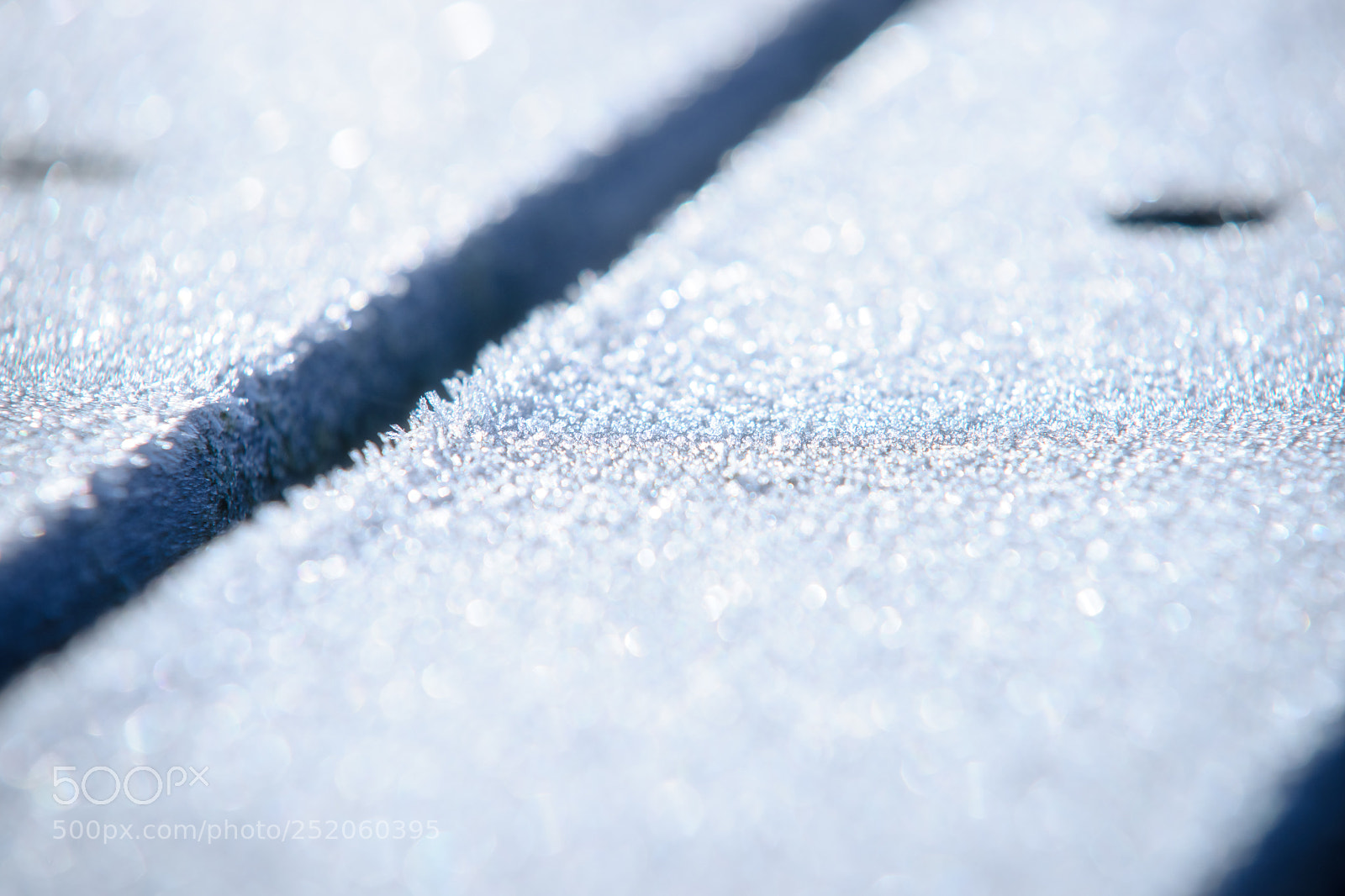 Sony Alpha DSLR-A900 sample photo. Ice crystals clinging on photography