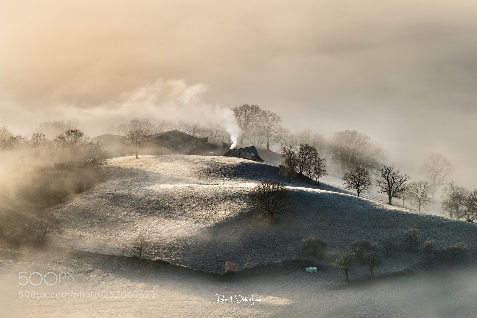 Nikon D810 sample photo. Misty morning in the photography