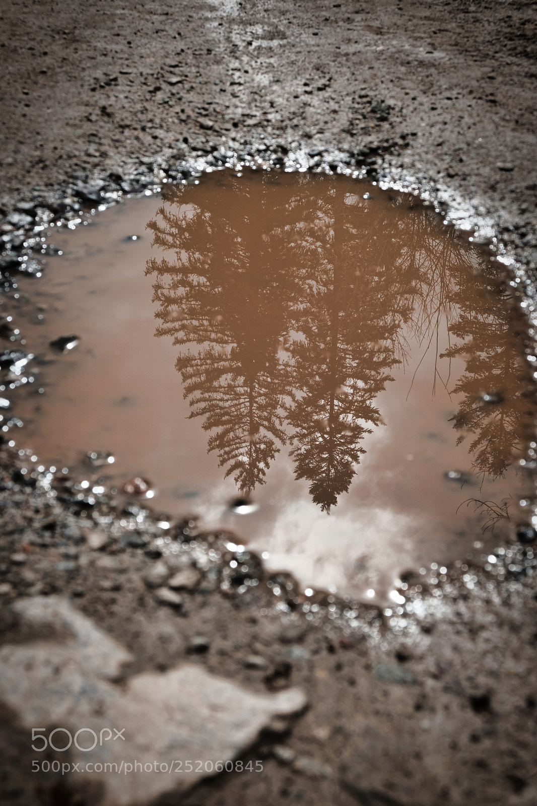 Fujifilm X-Pro2 sample photo. Reflection photography