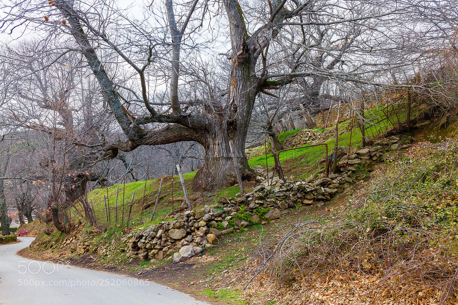 Canon EOS 7D sample photo. Untitled photography