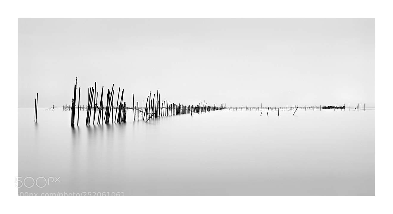 Nikon D810 sample photo. Fishing poles 2 photography