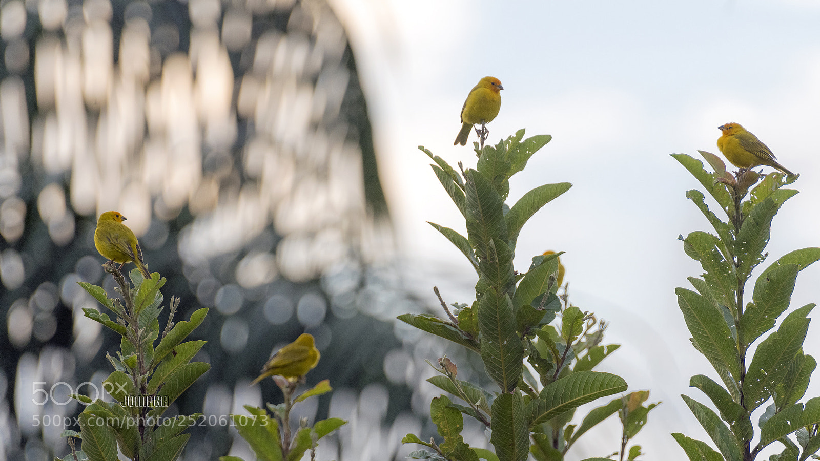 Pentax K-1 sample photo. Bedtime... photography