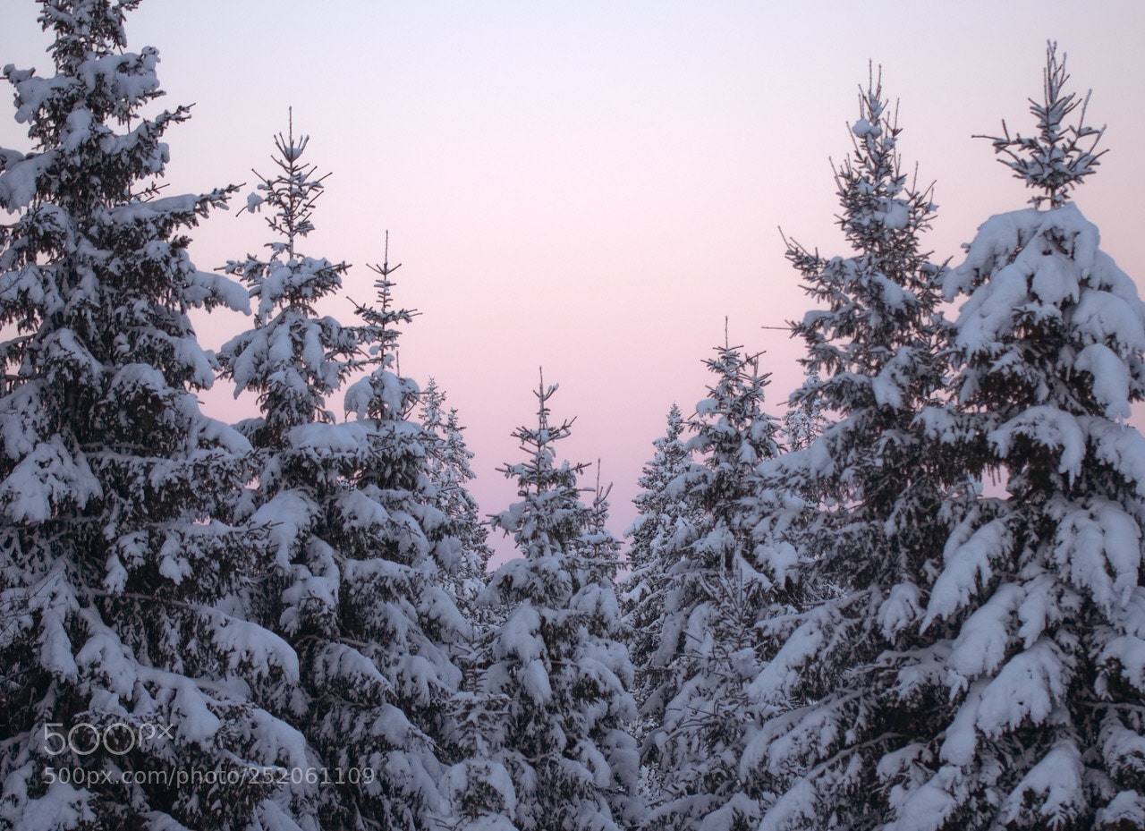 Nikon D7000 sample photo. Magical.  photography