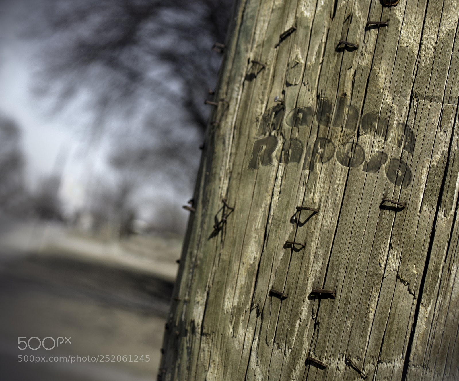 Nikon D3100 sample photo. Texture photography