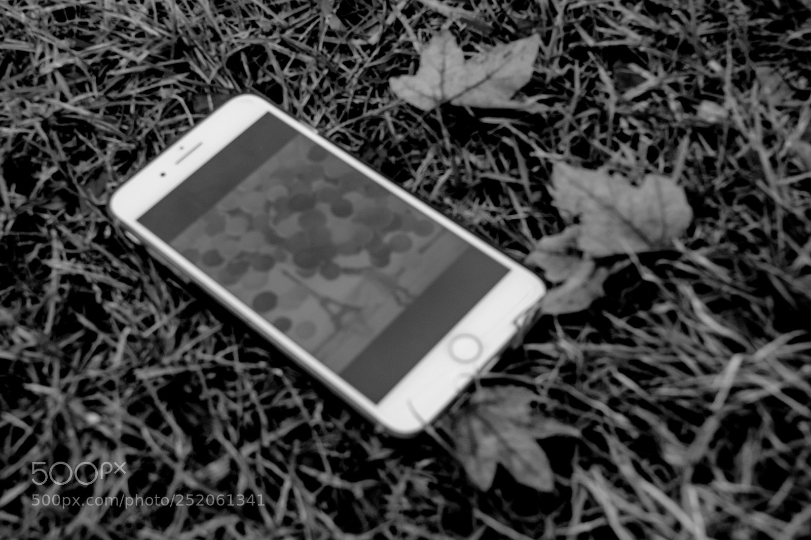 Nikon D3300 sample photo. Black and white photography