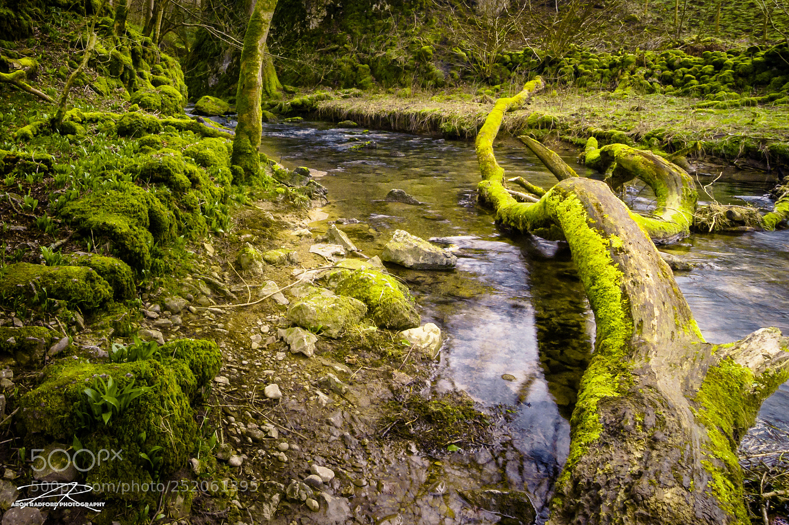 Nikon D5000 sample photo. Gordale beck (upstream) photography