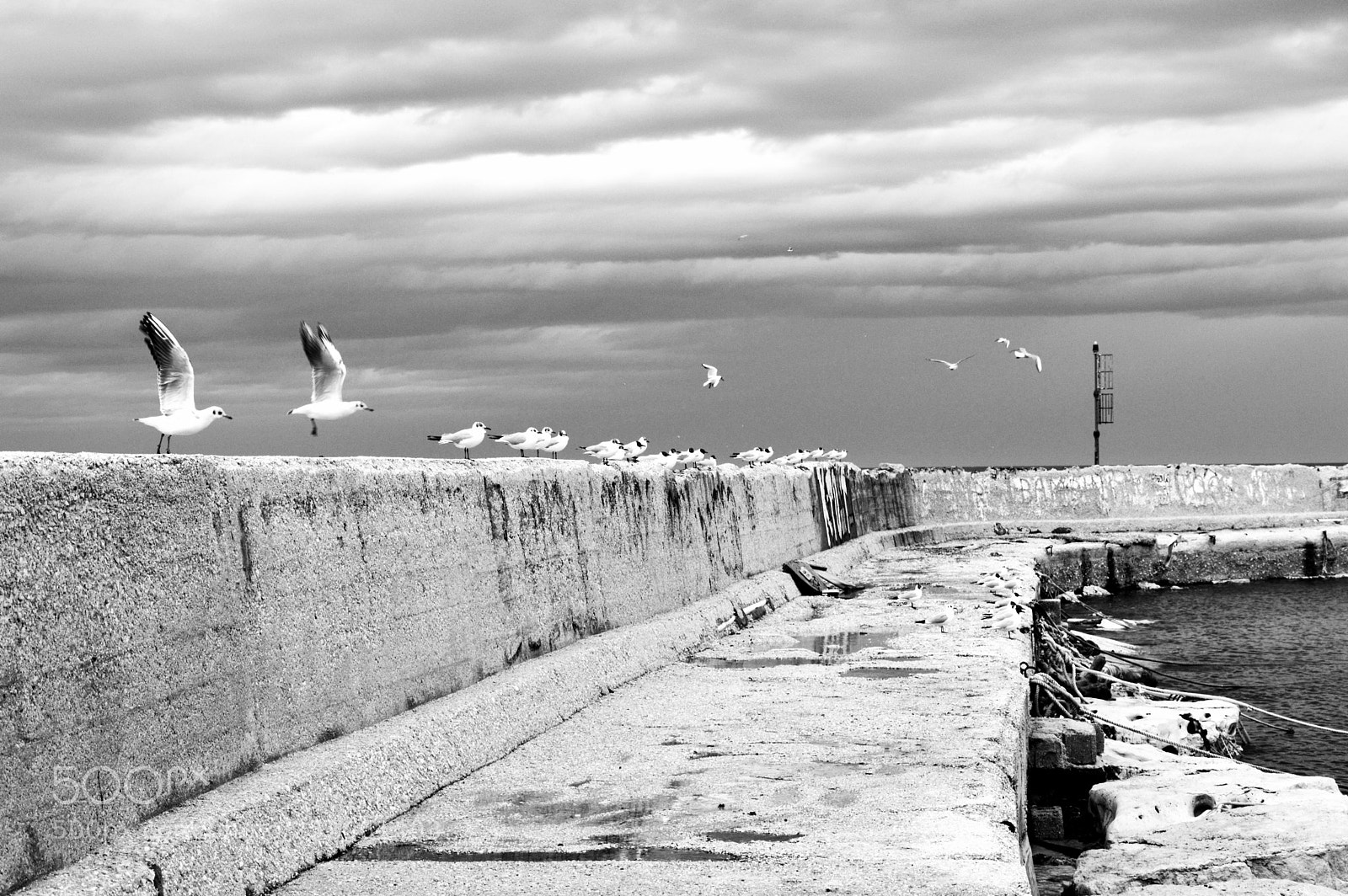 Nikon D3200 sample photo. In volo photography