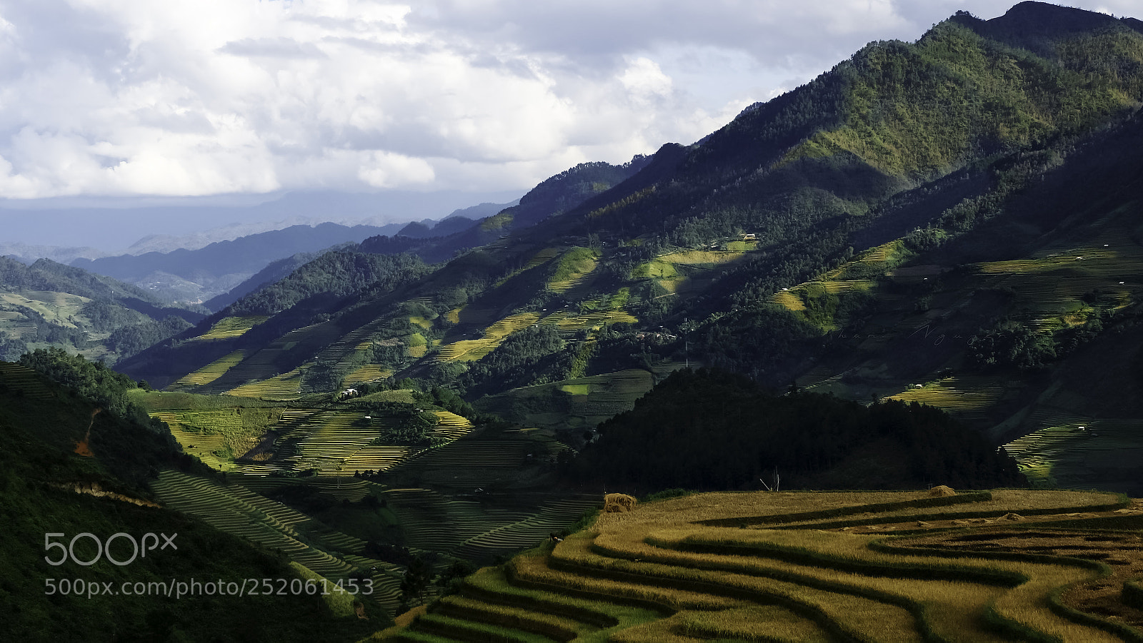 Fujifilm X-T2 sample photo. Rice fields in vietnam photography