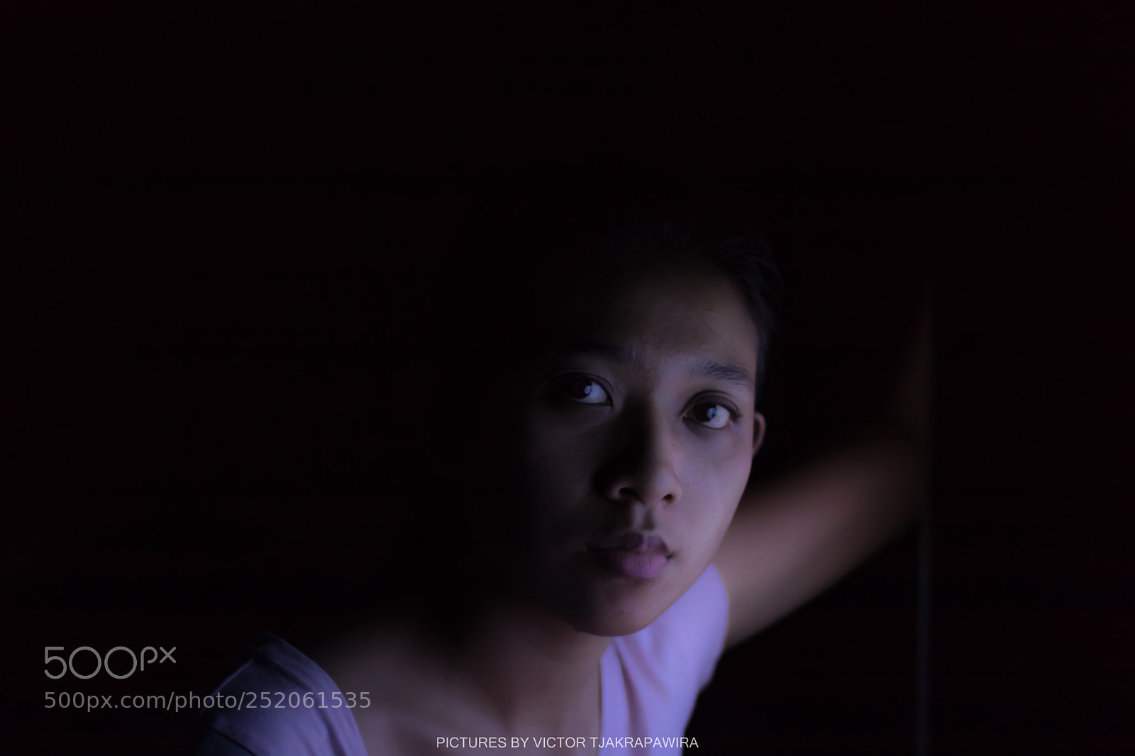 Canon EOS 80D sample photo. Img photography