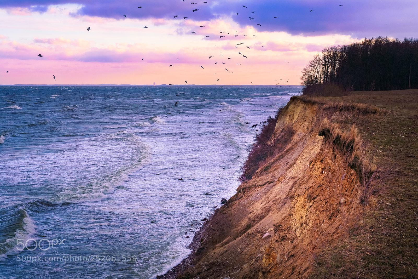 Sony a7R III sample photo. Steep coast photography