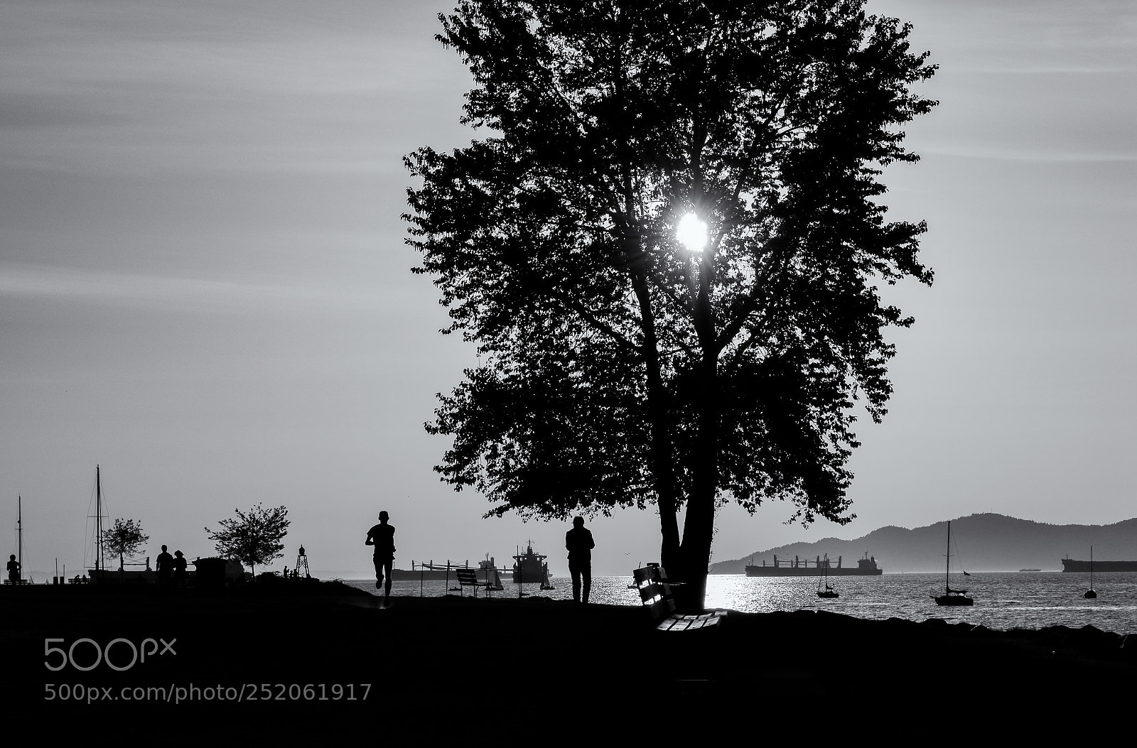 Nikon D800 sample photo. Sunset silhouettes photography