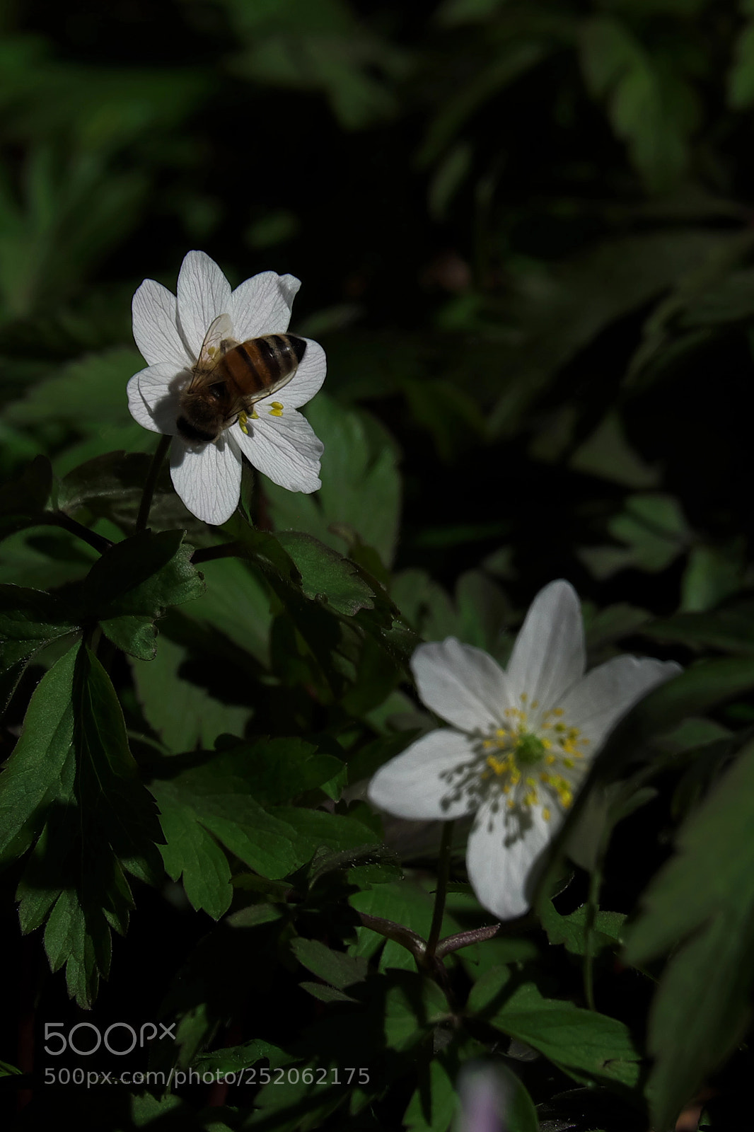Fujifilm X-T10 sample photo. Untitled photography