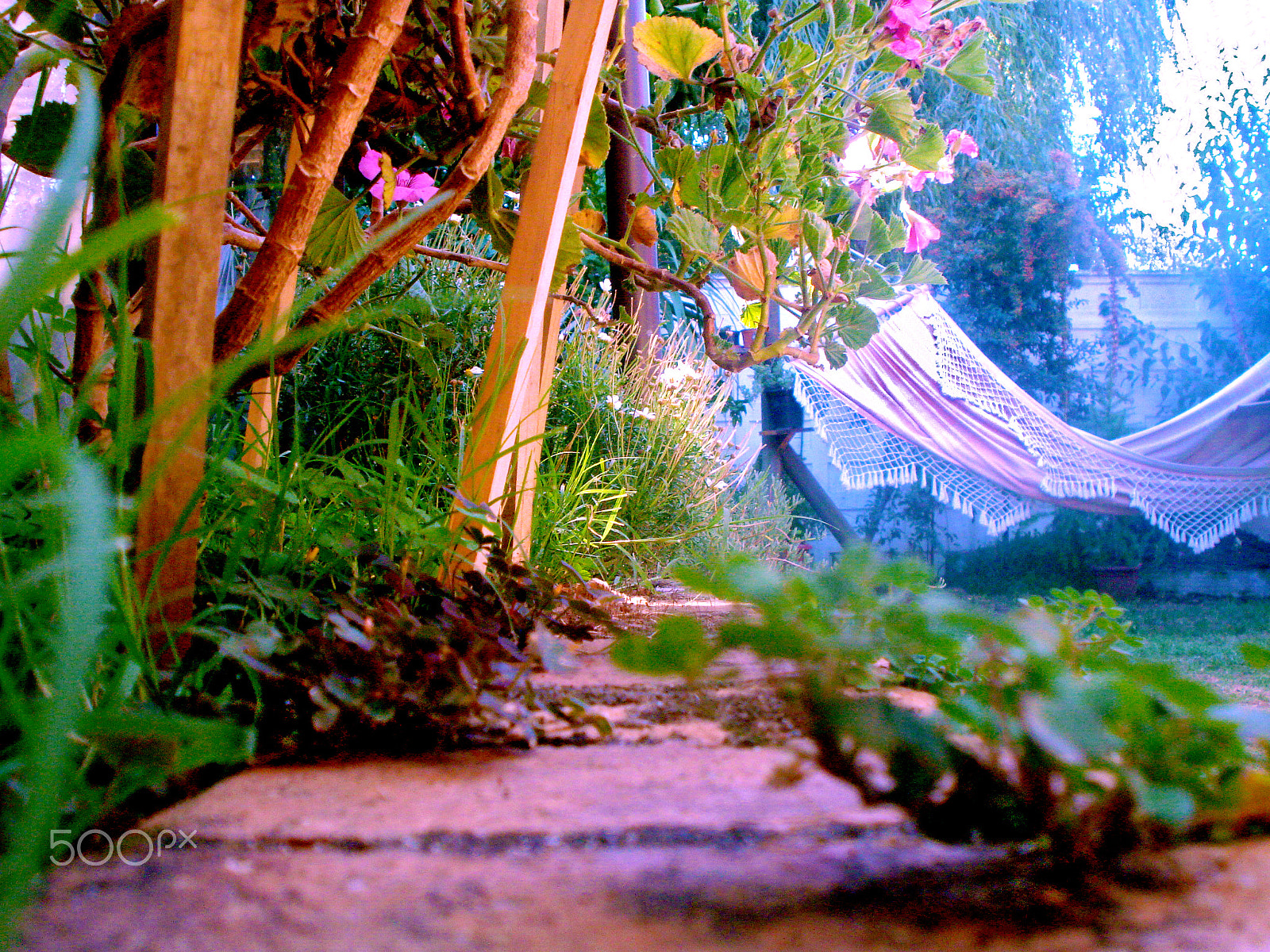 Sony DSC-W55 sample photo. Hammock. photography