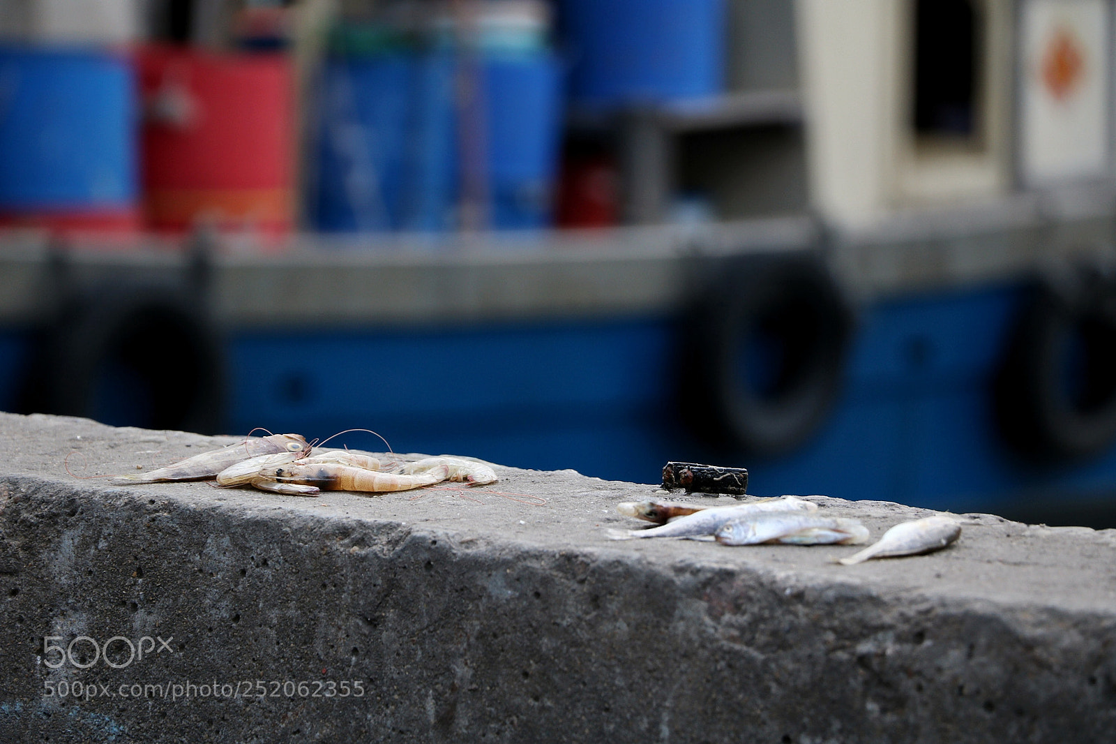 Canon EOS 760D (EOS Rebel T6s / EOS 8000D) sample photo. Untitled photography