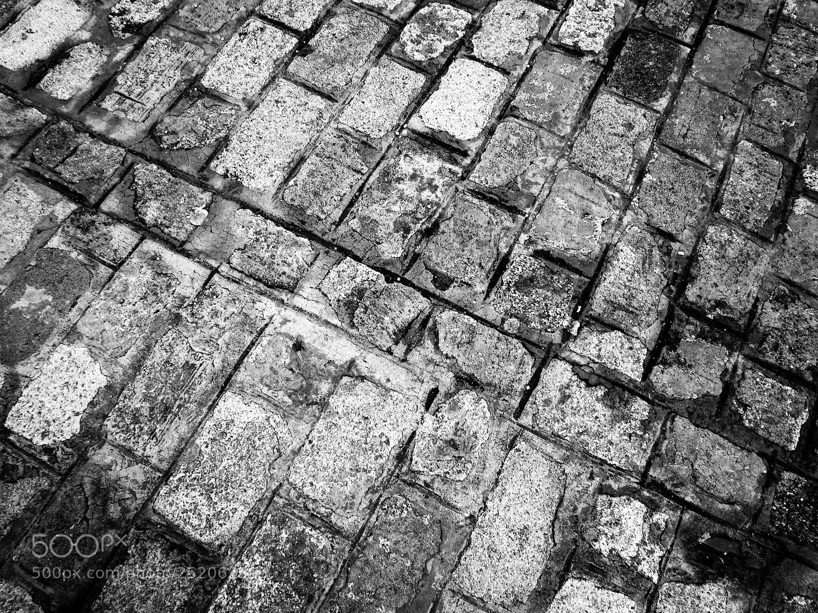 Sony Cyber-shot DSC-H50 sample photo. Walk photography