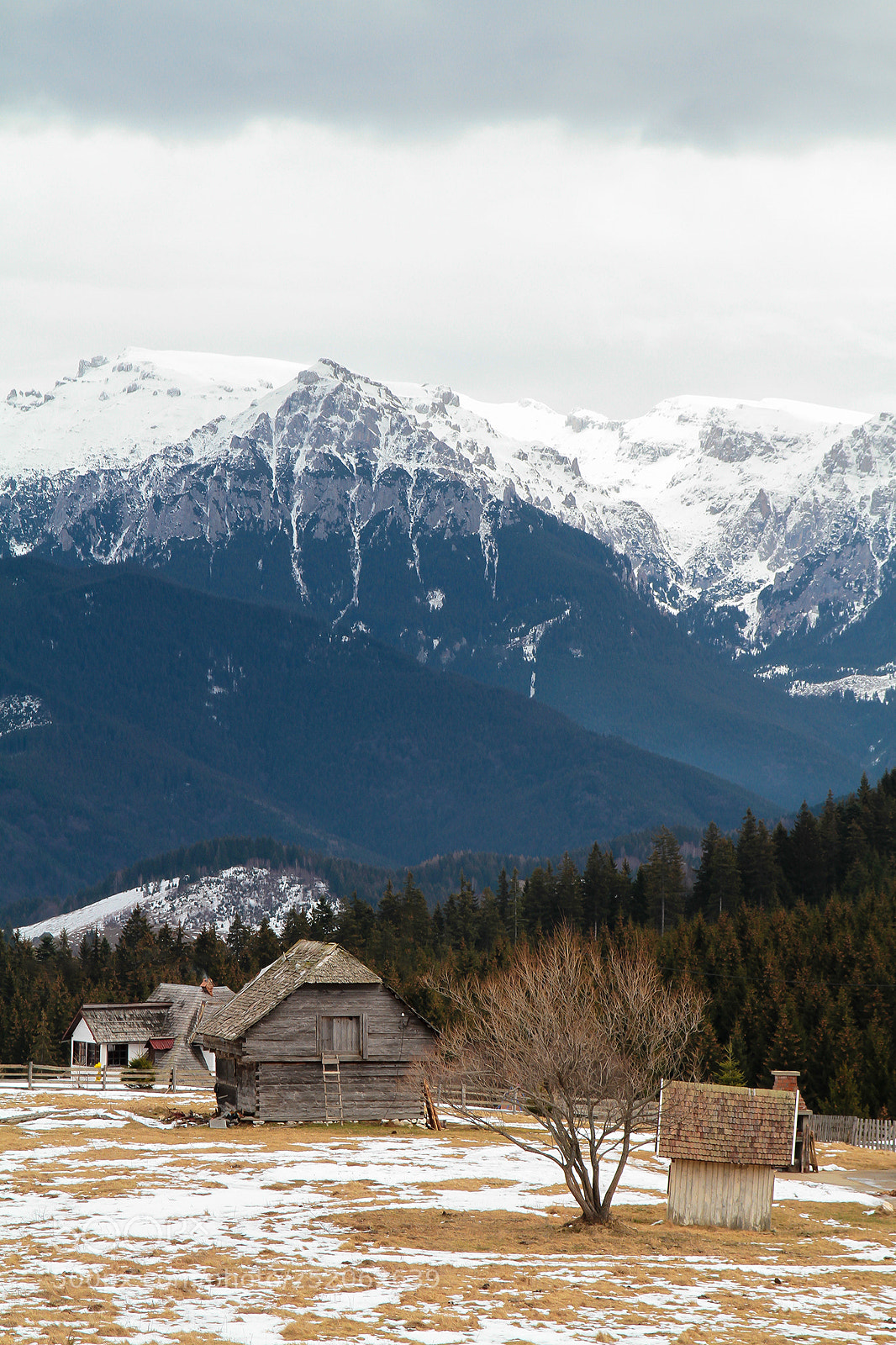 Canon EOS 7D sample photo. Cheile gradistei photography
