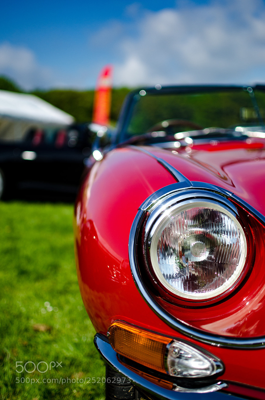Nikon D7000 sample photo. E type photography