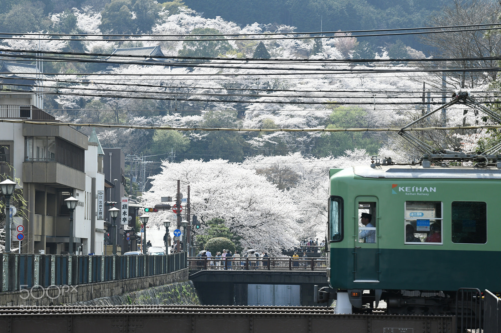 Nikon D850 sample photo. Spring keihan photography