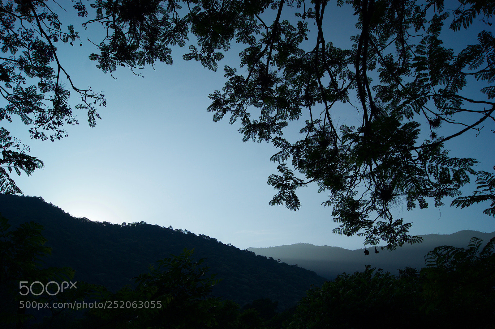 Sony Alpha DSLR-A390 sample photo. Untitled photography