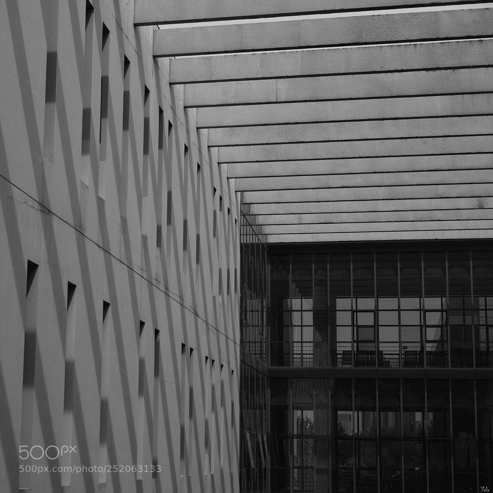 Leica M (Typ 240) sample photo. Nankai university photography
